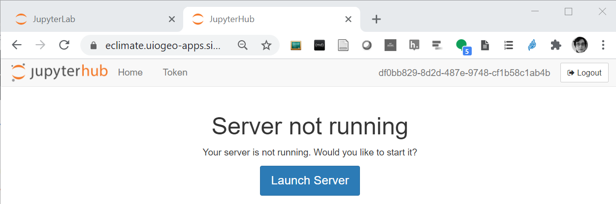 Server not launched